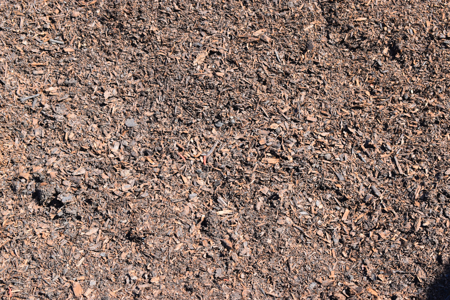 Composted Manure