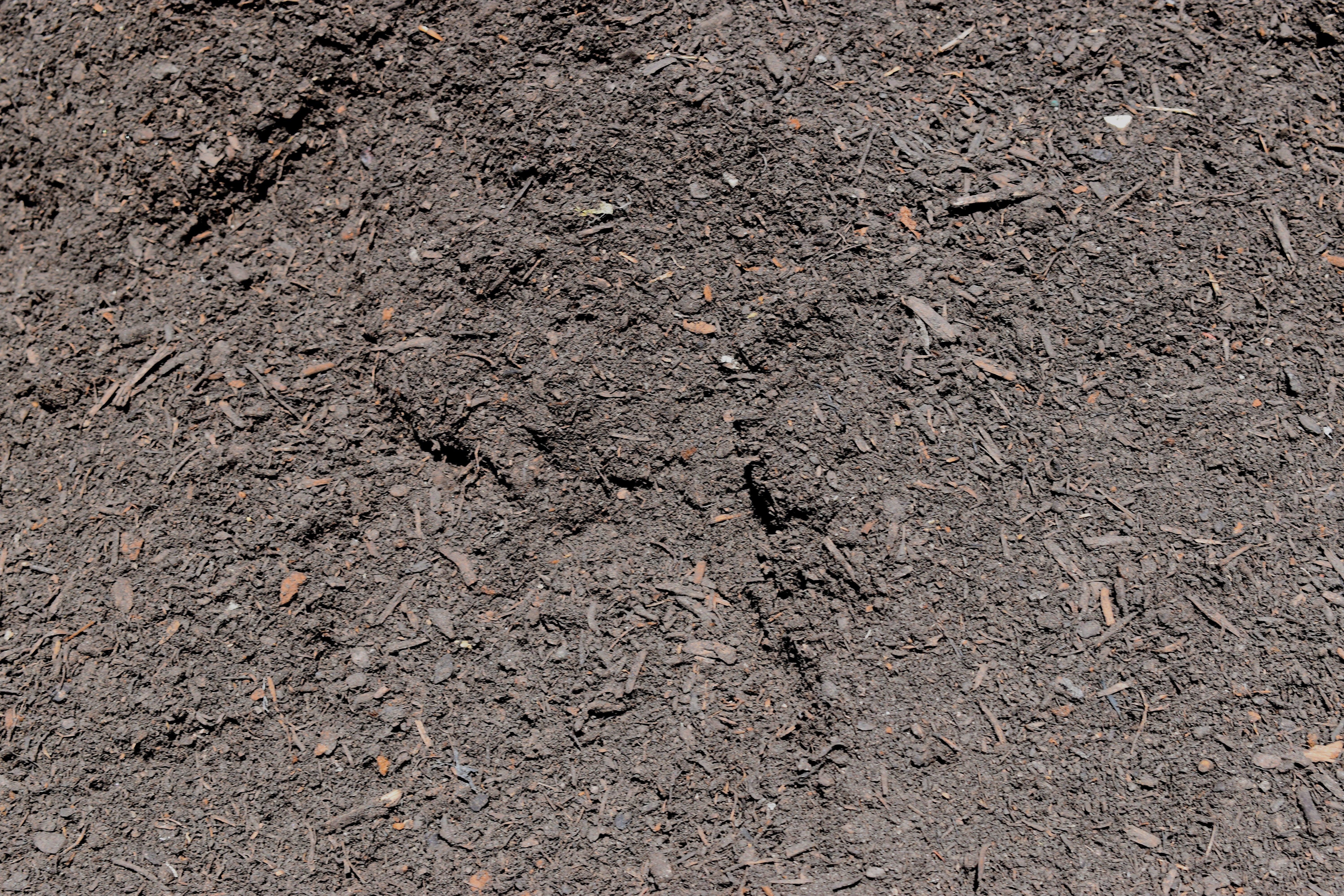 Max Halton Gro-Max Premium Garden Soil – Halton Garden Supplies